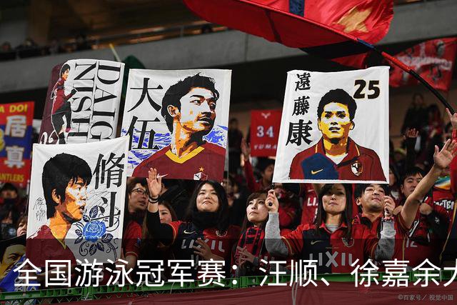 全国游泳冠军赛：汪顺、徐嘉余大幅领先夺冠