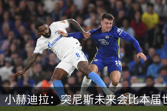小赫迪拉：突尼斯未来会比本届世界杯更好 批评？我已经付出全力